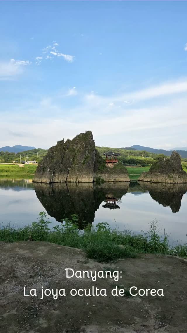 Olvídate un momento de Seúl y Busan. Bienvenidos a Danyang (단양), un paraíso natural de adrenalina y paisajes épicos que la mayoría de los turistas extranjeros aún no descubren.
Aquí tienes el itinerario perfecto para tu próxima aventura:
☕️☁️ Cafe Sann (카페 산): Empezamos tomando un café literalmente sobre las nubes. ¡Las vistas desde la cima de la montaña te dejarán sin aliento!
🪂🏞️ Parapente: ¿Te atreves a volar? Danyang es la capital del parapente en Corea. ¡Adrenalina pura mientras vuelas sobre el río y las montañas!
🦇🔦 Cueva de Gosu (고수동굴): Nos adentramos en un mundo subterráneo misterioso. Una cueva de piedra caliza con millones de años de historia.
⛰️🌊 Dodamsambong (도담삼봉): Una de las famosas "8 vistas escénicas de Danyang". Tres picos majestuosos que emergen del agua. Pura paz, magia y belleza tradicional.
🌉🚶♂️ Mancheonha Skywalk (만천하스카이워크): Terminamos el día caminando por el cielo en este mirador de cristal. Una vista panorámica de 360 grados para un final perfecto. 🌅
¿Con quién te irías a explorar este tesoro escondido de Corea? 👇
Etiqueta a tu compañero de viajes y 📌 guarda este reel para tu próximo viaje. ✈️🇰🇷
#coreacontigotour #viajeacorea #coreadelsur #tourenespañol #danyang