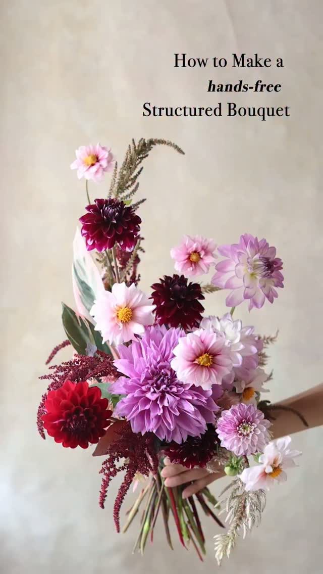 A little look at how I create a hands-free structured bouquet using mainly dahlias and celosias. Dahlias have such beautiful colors, textures, and shapes, so they’re wonderful flowers for a structured bouquet. I love having fun and being creative with them!
I use the StemSlider System to create all my bouquets, and it really helps me explore different bouquet designs, almost like creating a centerpiece.
If you’ve been thinking about trying hands-free bouquet making, today is the last day for our Black & Gold StemSlider promotion 💛 No promo code needed, you can find it through the link in my bio. 😊
.
.
.
.
.
#StemSlider #weddingbouquets #bridalbouquet #dahliabouquet #gardenflower