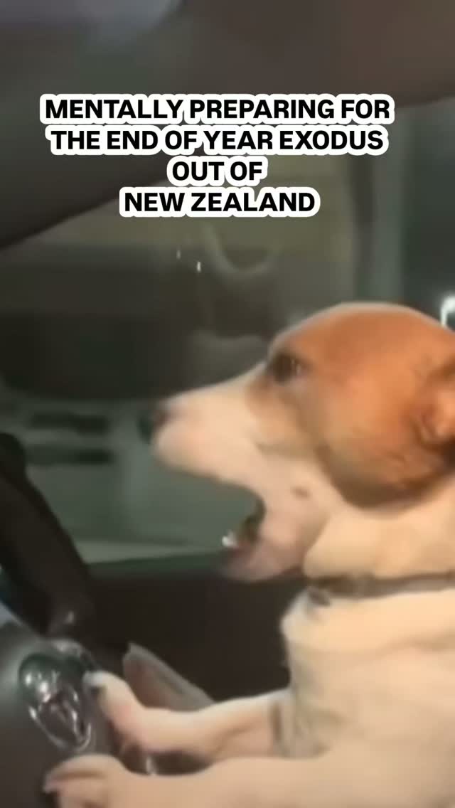 Mentally preparing for the end-of-year mass exodus of pets leaving New Zealand🤣🛫🐾
The end of the year is just around the corner👀
Whose ready ✋️
#cutepets
#hamiltonpettransport #personalpetshippers #nzpets #Pettransport