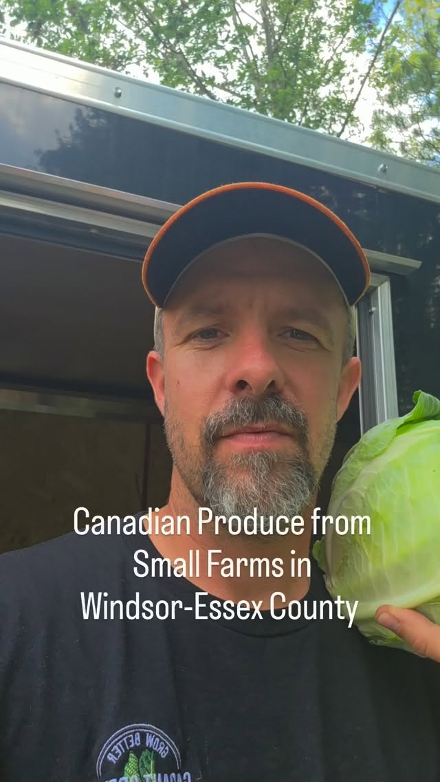 Shop #tariffs free and #shopcanadian @stevegreenfoods
.
We are bringing local #windsoressexcounty produce to 1506 Wyandotte Street East
Thursday:
Local Peaches & Cream Sweet Corn π½ (Cottam)
Local Zuchinni (Kingsville)
Local Green Onions (Leamington)
Local Heirloom Grape Tomatoes (Kingsville)
Local Bartlett Pears π (Kingsville)
Local Sansa Apples π (Ruthven)
Local Ginger Gold Apples π (Kingsville)
Local Squash (Butternut, Spaghetti & Acorn) (Harrow)
Local Field Beefsteak Tomatoes π
(Kingsville)
Local Field Roma Tomatoes (Cottam)
Local New Potatoes π₯ (Cottam)
Local Medium White Potatoes π₯ (Cottam)
Local Salad Greens π₯ (Leamington)
Local Bell Peppers π« (Kingsville)
Local Green & Yellow Beans (Kingsville)
Local Carrots π₯ (Kingsville)
Local Min Cucumber π₯ (Leamington)
Local Garlic π§ (Kingsville)
Local Yellow Onions π° (Harrow)
Local Celery (Ruscom Station)
Local Fresh Herbs ( Basil, Thai Basil, Rosemary, Mojito Mint) (Ruscom Station)
Local Kale (Kingsville)
Local Cabbage (Kingsville)
Local Radish π« (Kingsville)
.
.
#visitwalkerville
#yqg