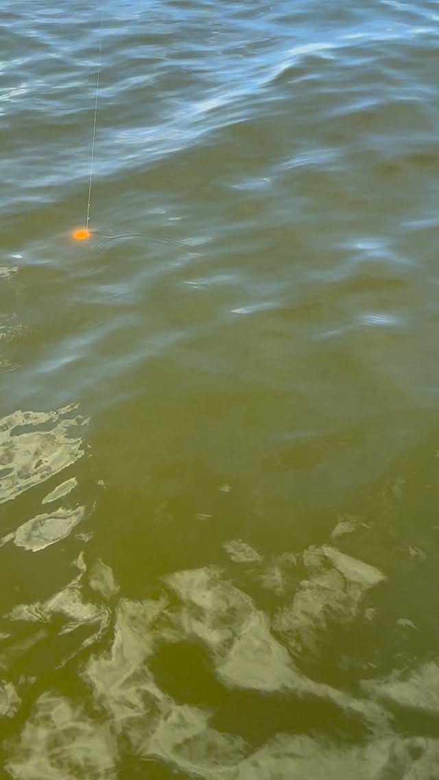 Went out on the Pamlico today with @leekia.greenvillenc and our good friend @cameronmitchell_1 and what great day it was! Cameron was able to catch his largest Bull Red to date and pop up a second one just because. We caught a few flounder, trout and had a very close call with the silver king. Truly enjoyed all the laughter, catching up and seeing the sights. Looking forward to the next day out. #inshorefishing #bullred #citation #flounder #trout