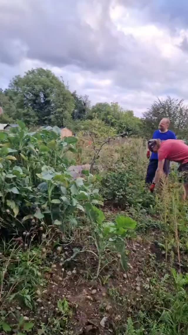 Lovely clips captured by one of our new Trainee Area Managers at The People's Plot - you can see how beautiful the forest garden looks now, after plenty of rain to replenish the plants.