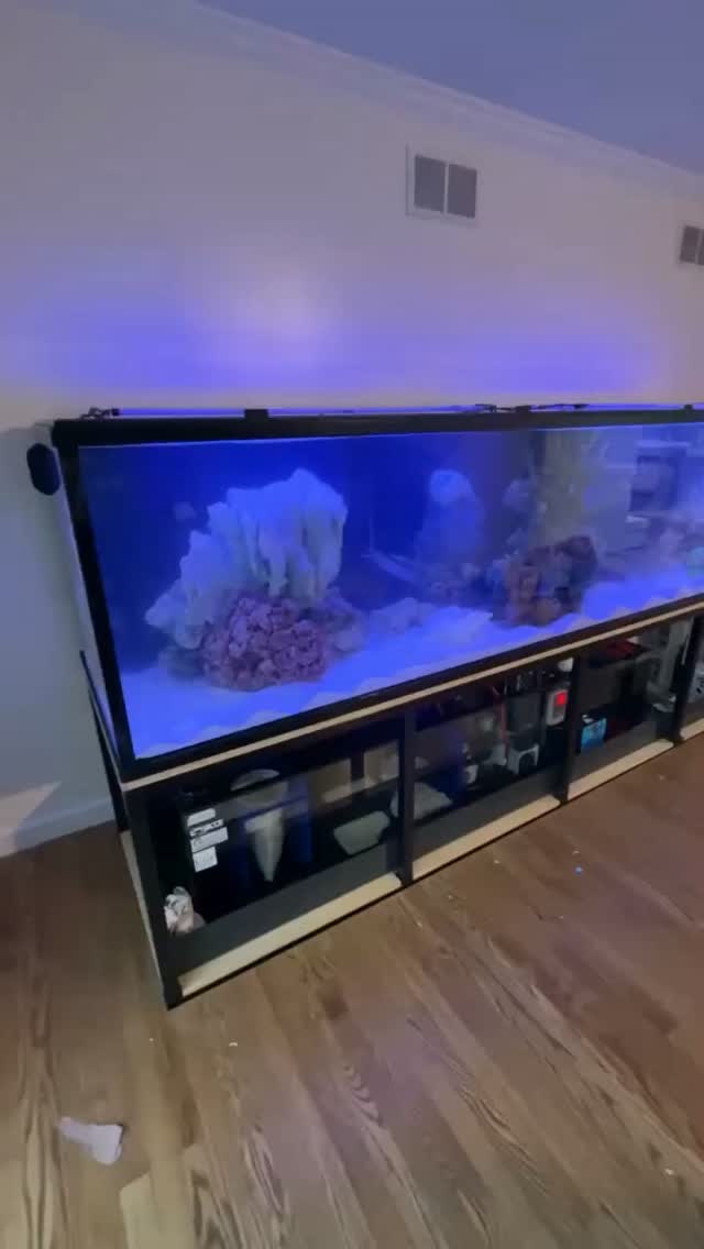 This install's almost done!
Here's a little sneak peek of the install process.
#allmymoneygoestocoral #reefaddict #chicago #saltwateraquarium