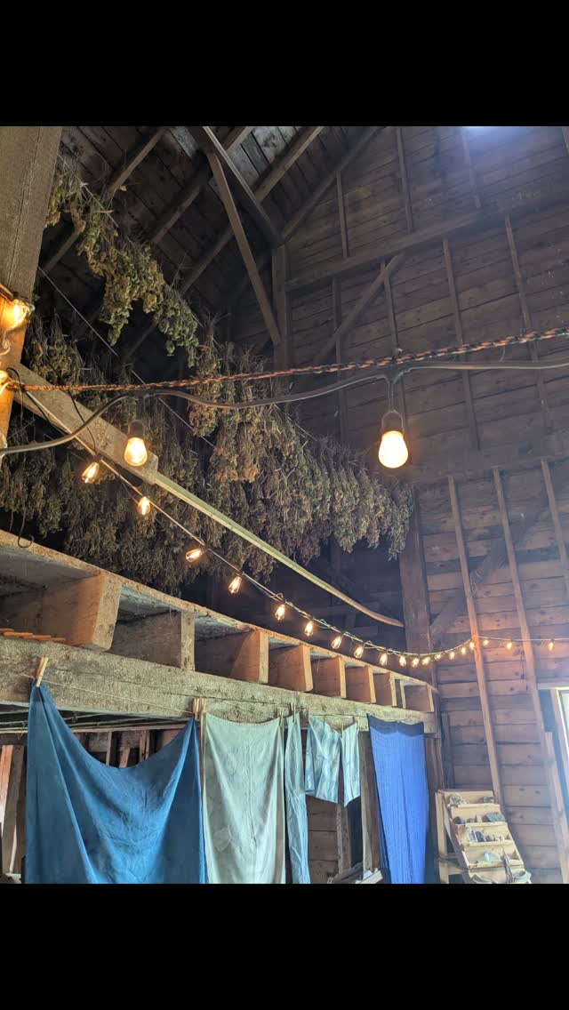 Experience indigo on the farm ππ©΅ππ
Workshops with local goodies and a farm tour are happening from now until the end of October. Visit our website to learn more.
Find a date that works for you. Bring a friend or a loved one and make magical memories!