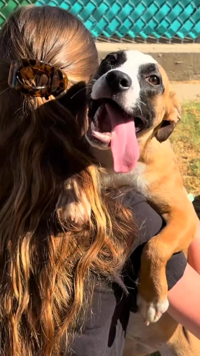 Your dollar goes further than you think. ๐ค
Every dollar makes a difference for shelter pets at HSNT. Your support helps provide food, medical care, shelter, enrichment, and the second chances they deserve.
This @northtexasgivingday help us turn your dollars into more lives saved.
Donate today โ Link in bio.
#NorthTexasGivingDay #GiveBack #SupportShelterPets #hsnt