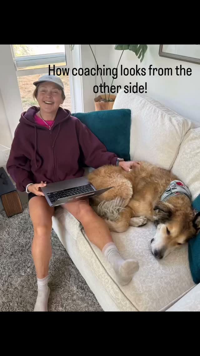 This is what it looks like from the other side of my coaching business. Working on my athletes plans while squeezed on the sofa with Eddie!!
So cozy!!
#dogs
#bestfriend
#ultraruncoach