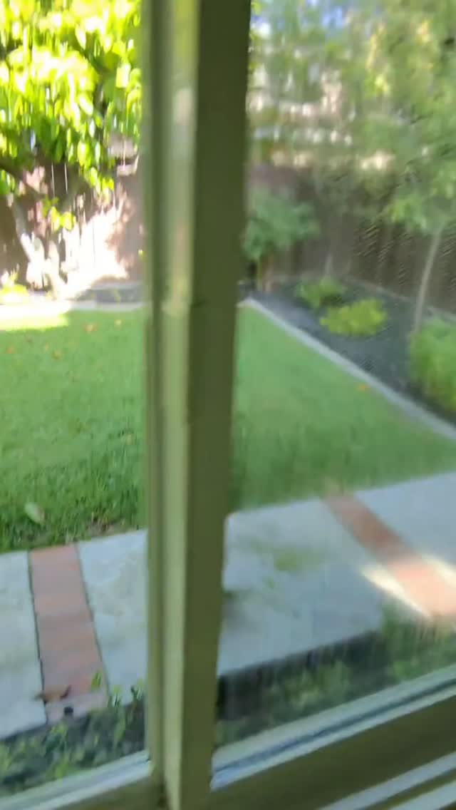 Treating every window like it's "mi amor" 🫠
#windowcleaning #weekend #pov #explorepage #fyp