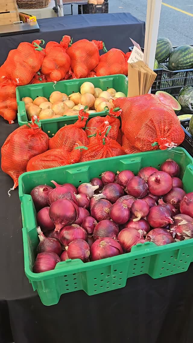 Happy Market Fest!! ๐บ๐ฅ๐ฅ๐ง
Come on down and join us on Baker St for this incredible line-up of your communities very own artisans and farmers! So much love has been poured into the harvest and creations! And oh my what a beautiful day ๐
#kootenaycornergardens #markefest #nelsonfarmersmarket #shoplocal #supportyourlocalfarmer