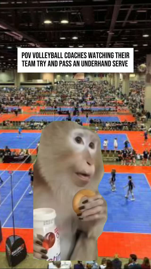 What is it with the underhand serves 🥲
#volleyballmeme #volleyballplayers #volleyballserve #underhandserve #volleyball