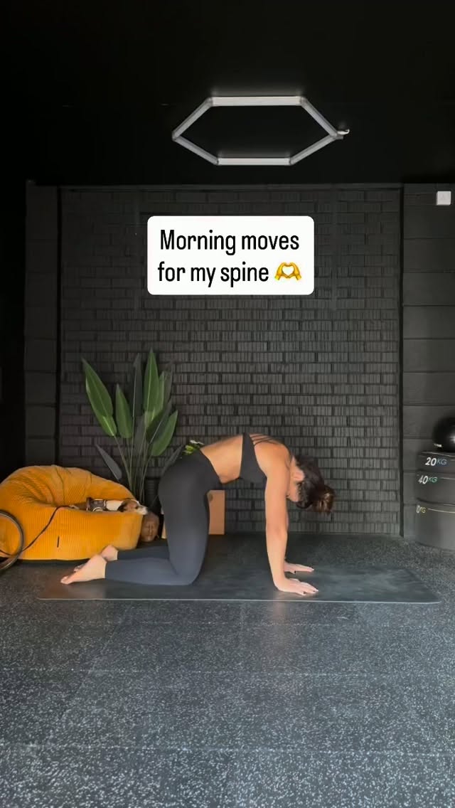 My spine needed some love this morning so this was my little flow in under 20 minutes to have a wiggle while Ali snoozed and loosen up before lots of work calls.
Hit save if you need a stretchy reminder and let me know if you do it. 🫶
#spineflexibility #spinemobility #stretching #yoga #movementismedicine