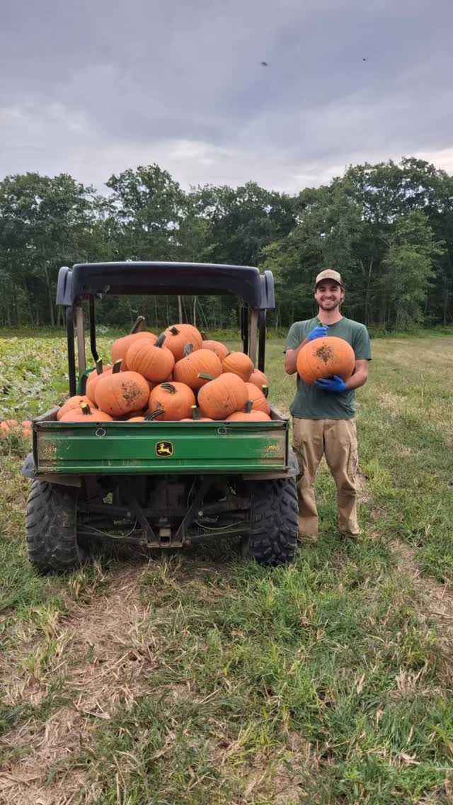 Fall is here! We’ve got you covered on fall decor and a stand full of homegrown harvest 🌞🌽🎃 Open everyday 9-5:30 #supportlocalfarms
