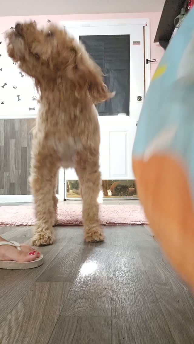 Those first morning zooms π