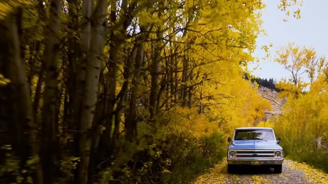 From @scottjohnsonphoto Four years ago, this photo and video captured it perfectly. Golden aspens, mountains turning, that particular light that only happens this time of year.
Today marks the beginning again. That shift. The season when everything changes color and the air finally cools.
Fall never gets old.
@soooamyzing