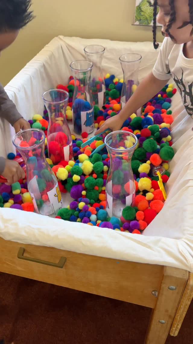 Playing with POMPOMS! #sensory #sensorybin #sensoryexploration #teacher #classroom
