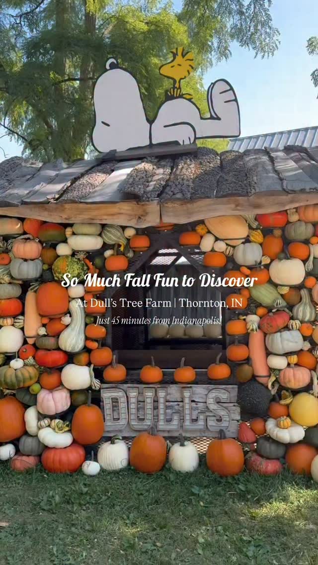Consider this your sign to plan a fall day at Dull’s!!🎃✨
📍Dull’s Tree Farm & Pumpkin Festival | 1765 W Blubaugh Ave, Thorntown, IN