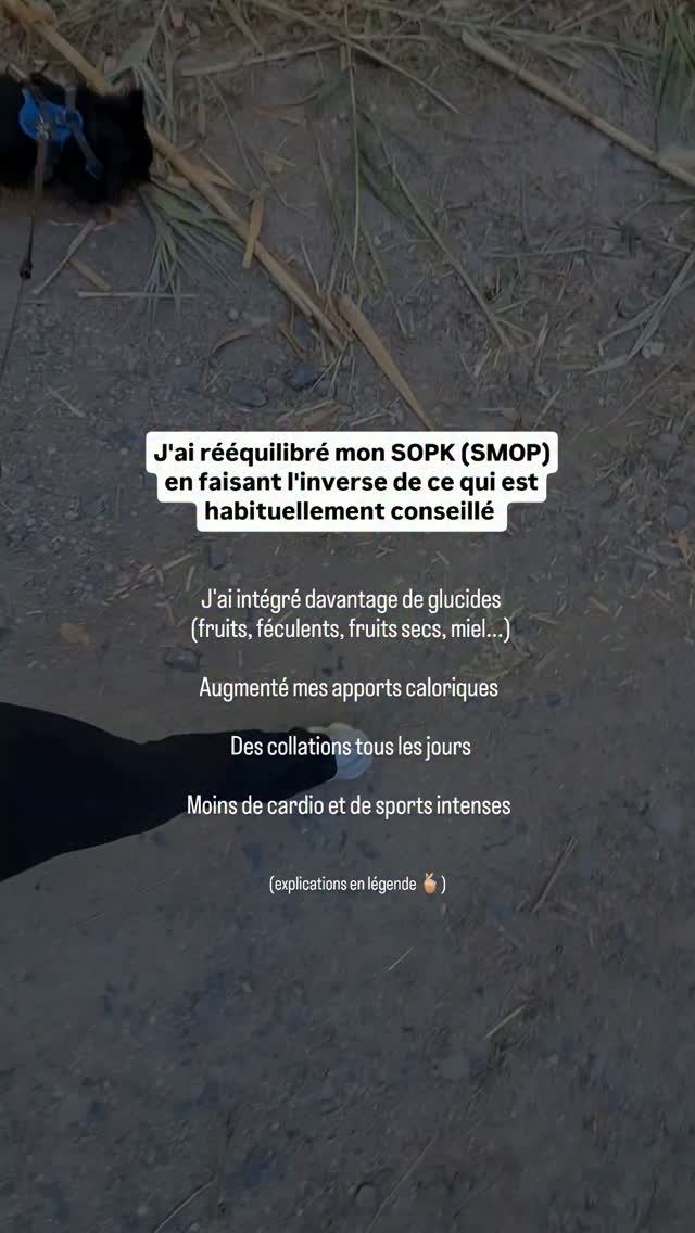 Tous les SMOP (SOPK) ne se ressemblent pas.
Le SMOP n'est pas toujours associé à une insulinorésistance, un excès de testostérone ou des ovaires qui dysfonctionnent.
Je n'avais rien de tout ça.
Ce qui se cachait derrière mon SMOP c'était une thyroïde en sous régime, et un excès de DHEA.
🔎 La DHEA est un androgène produit principalement par les glandes surrénales. Elle peut augmenter lorsque l'organisme est soumis à un état de stress permanent, à une sous-alimentation, ou à un entraînement très intense.
Réduire les glucides et manger moins est l'opposé de ce qu'il faudrait faire dans ce type de cas.
Réduire les glucides, c'est priver la thyroïde de ressources pour convertir la T4 en T3.
C'est imposer un stress métabolique à un organisme déjà stressé.
C'est forcer les surrénales à augmenter les hormones de stress afin de maintenir une glycémie stable (néoglucogénèse).
J'allais droit dans le mur avec un régime low-carb et faible en calories.
Pourtant c'est souvent ce qui est conseillé en première intention aux femmes qui ont le SMOP : « limitez le sucre, pas trop de féculents, attention aux fruits et aux collations...»
🧘🏼♀️ J'ai fait le choix d'écouter mon corps et d'envoyer un signal de sécurité à mon système nerveux : des apports caloriques suffisants et réguliers, davantage de fruits et de glucides complexes, davantage de sommeil, des activités physiques moins stimulantes et moins énergivores, un rythme de vie plus lent.
Et mon SMOP m'en remercie aujourd'hui 🤍
C'est pour ça que j'insiste toujours sur l'importance de creuser pour comprendre son "type" de SMOP, et d'individualiser la prise en charge.
💬 Ça te parle tout ça ? Tu connais ton type de SMOP ?