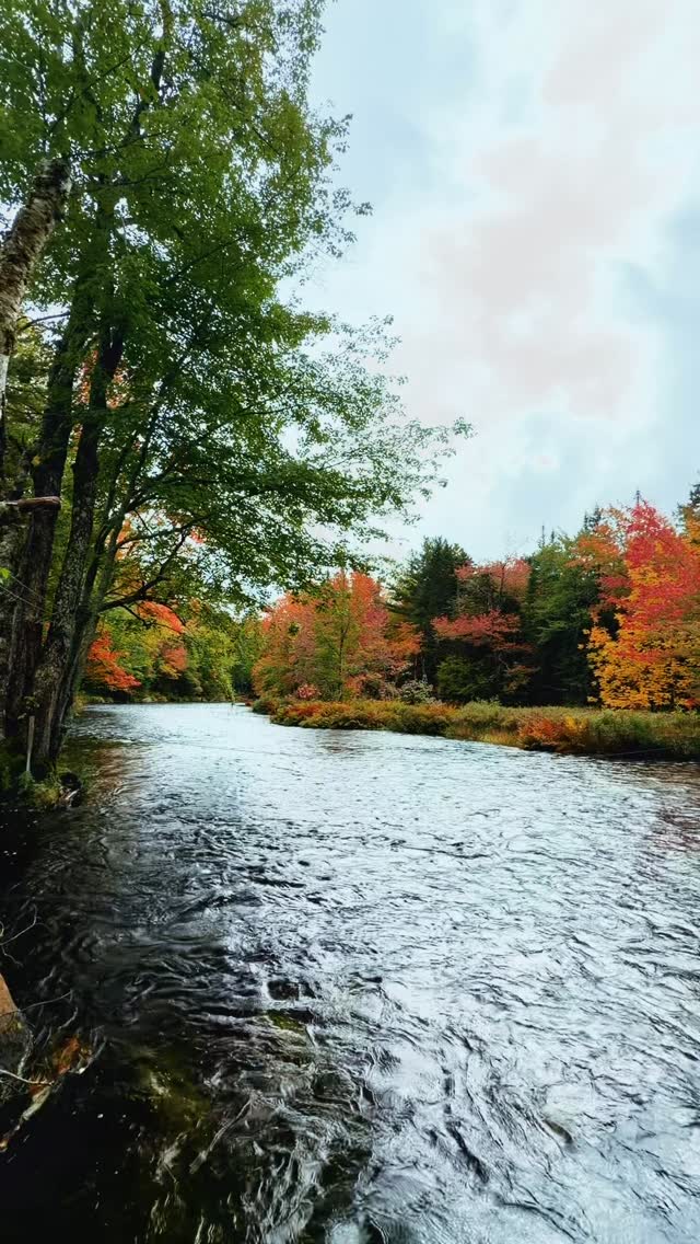 🍂 Come enjoy the Fall colours with us!! 🍃
Weekdays are wide open, and this weekend’s going to be a blast…
🍂🎃 Fall / Halloween Trivia Night! 🎃🍂 Friday at 8pm hosted by @daniellewhynot
🏆 Cornhole / Washer Toss Mashup Tournament 🏆 Saturday at 11am
🍽️ Friendsgiving Potluck 🍽️ Saturday at 5pm
🚐 Plenty of availability across the camp! 🚐
#fallvibes #camping #familyfun #novascotia #camp