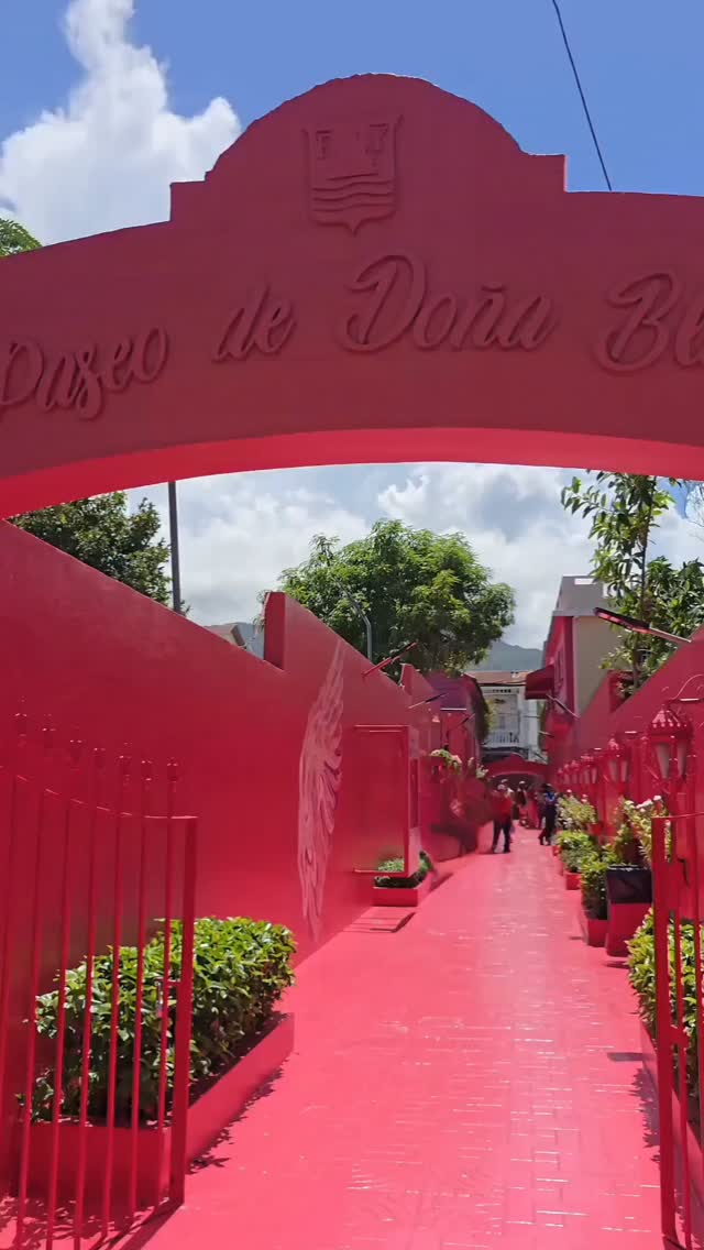 Paseo de Doña Blanca, better known as Pink Alley, was one of the places I had planned on visiting and was really looking forward to when we went to the Dominican Republic.
I had seen so many fabulous pictures and videos of it, so it was really cool to finally see the entire alley painted pink in person and check out all of the different photo-op spots throughout it.
And unexpectedly, I got to hang out with a really cool parrot at the end!
#dominican #dominicanrepublic #pinkalley #parrot #virginvoyages