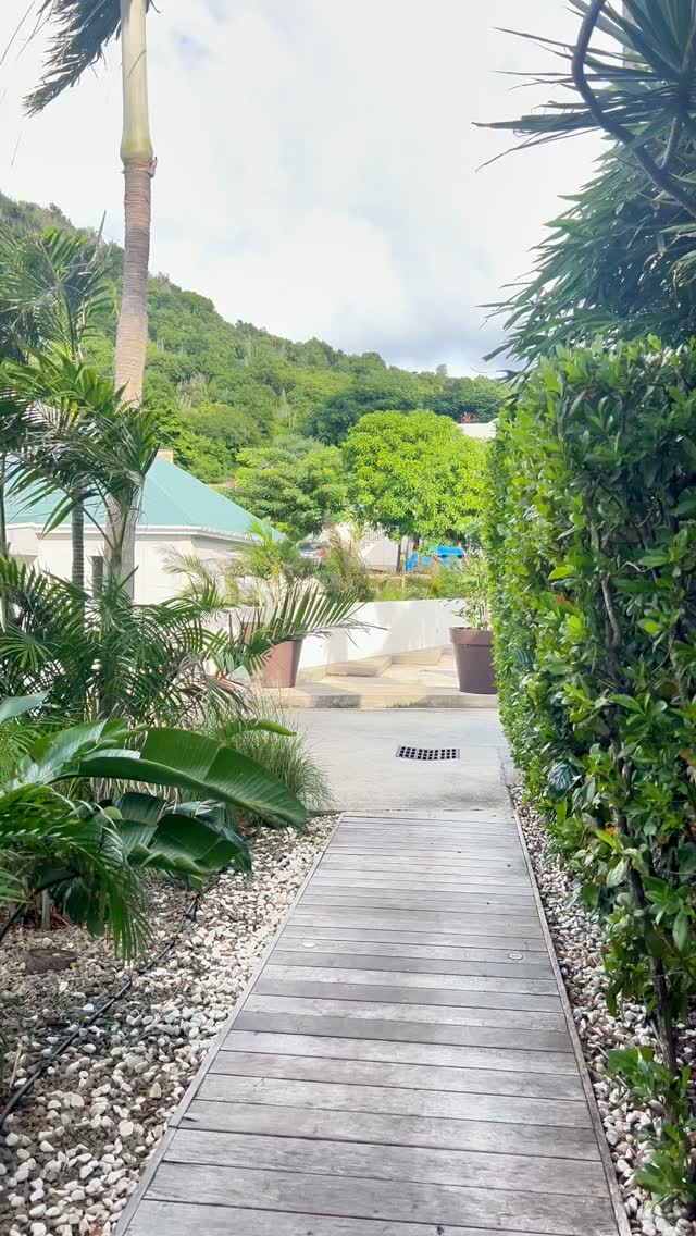 Un aperçu de ce qui pourrait être votre prochain séjour à Saint-Barth.
Réservez votre prochain séjour.
#hotel #saintbarth #stbarth #caribbean #saintbarthelemy