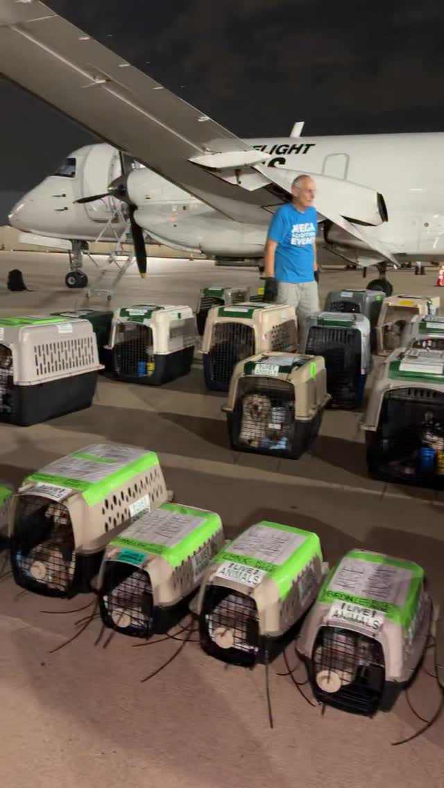 Yesterday, Wings of Rescue flew 289 pets out of Florida to communities ready to receive them.
That brings us to more than 9,700 pets flown this year alone, and we already have six more large-scale flights ahead.
We are on track for a record-breaking year, and that is because of the people who make this work possible.
Our donors, partners, shelters, pilots, crews, and supporters help turn every flight into another chance for pets who need somewhere else to go.
Thank you for standing with us and helping make this year one of our biggest yet.
Link in bio!
#LetTheFurFly