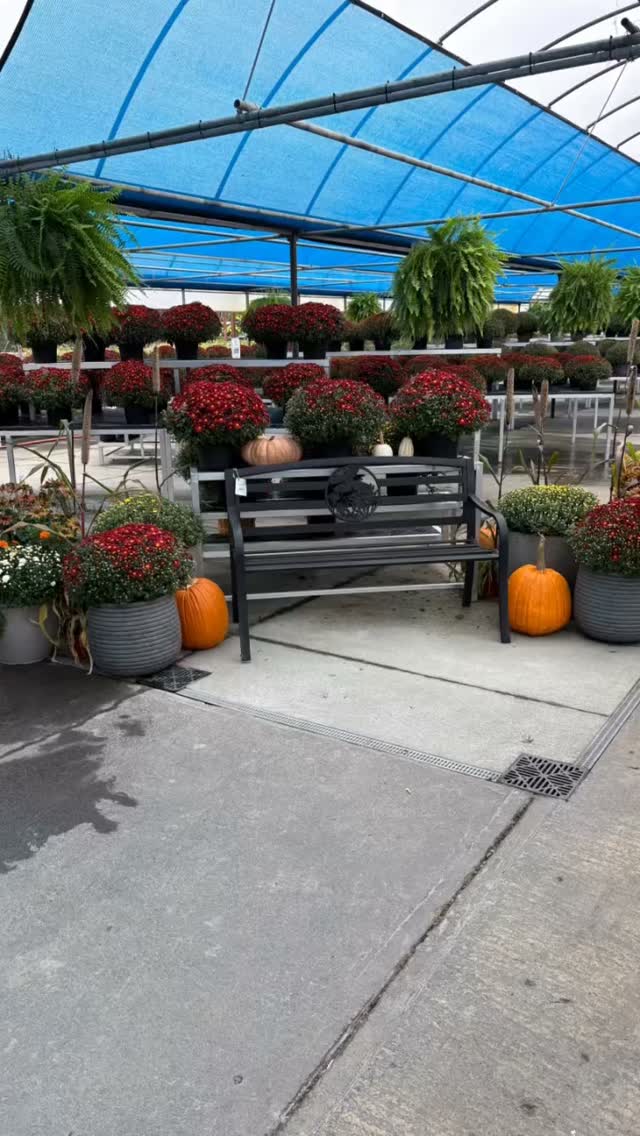 We look forward to seeing YOU this weekend #growbeauty #greenhouselife #shoplocal #ohiogreenhouse #gardencenter