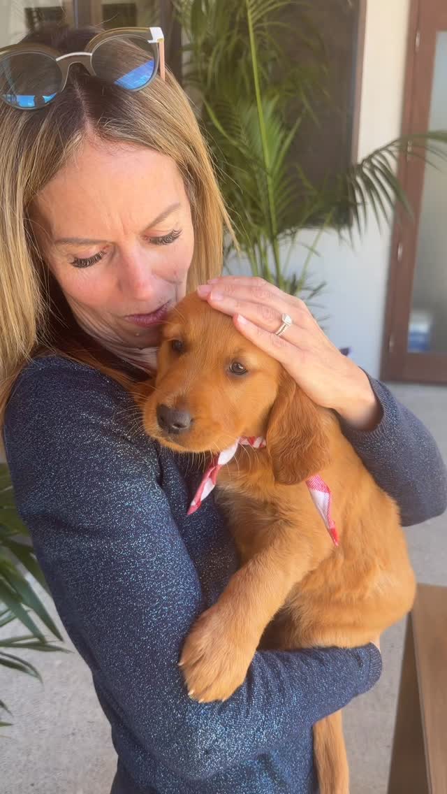 This is what it is all about. 🤍
Today, Pepper’s puppies started heading home to their families, and little Molly clearly already knows she has found her people.
Watching her cuddle into Sally and her son like she had known them forever was very special. She was so relaxed, so affectionate, and just soaking up every bit of love.
These are the moments that make all the waiting, planning, raising and matching so worth it. A beautiful puppy, a beautiful family, and the start of a very special life together.
Congratulations Sally and family, Molly is already right where she belongs. 🐾💖
