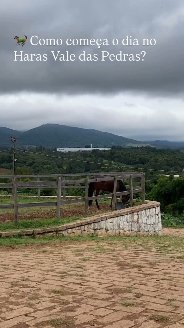 Antes das aulas, dos passeios e dos treinos… existe uma rotina que quase ninguém vê. 👀
É hora de cuidar, observar, alimentar, conferir cada cavalo e preparar tudo para mais um dia no Haras.
Porque aqui, o dia não começa com pressa.
Começa com cuidado. 🤎🐎
E quem ama cavalo sabe: não existe despertador melhor do que o relincho vindo das baias. ❤️
📍 Haras Vale das Pedras | Itupeva/SP
📲 (11) 99353-0816
Me conta: você gostaria de começar o dia assim? 🐴👇