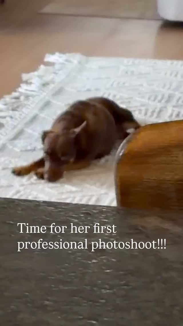 We are going to do a cute photoshoot of our sweet girl! Can’t wait to share!