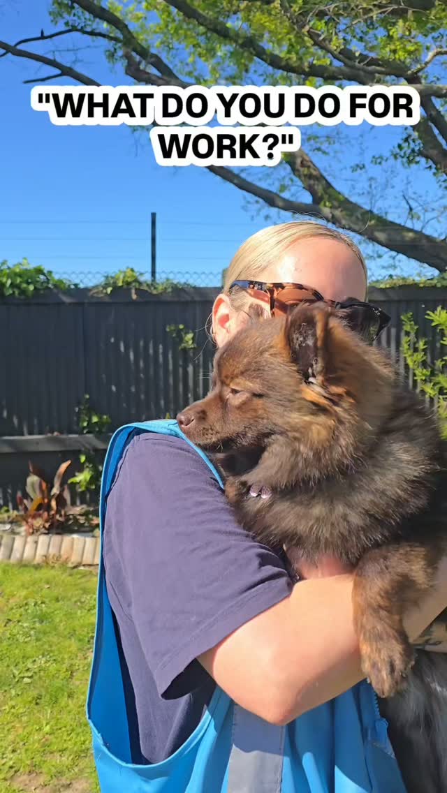 We always get the funniest expressions and reactions when we explain what we do 😂🐾✈️
#Pettransport #Hamiltonpettransport #personalpetshippers #pettransportnz #nzpets