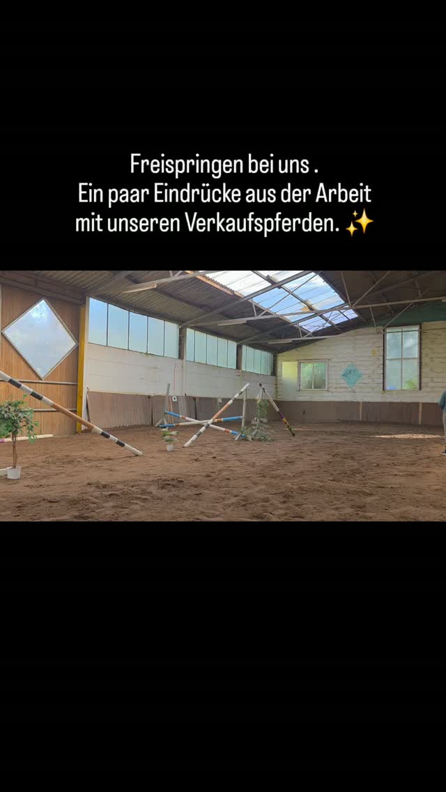 Heute stand bei uns Freispringen auf dem Programm. 🤍🐴
Ein paar Eindrücke von unseren Verkaufspferden, die dabei zeigen durften, was in ihnen steckt. ✨
Vom Nachwuchspferd bis zum bereits weiter ausgebildeten Sportpferd haben wir immer wieder unterschiedliche Pferde in unserer Ausbildung – mit ganz unterschiedlichen Voraussetzungen, Charakteren und Perspektiven.
Für uns gehört eine vielseitige und sorgfältige Ausbildung dazu, um die Stärken jedes einzelnen Pferdes herauszuarbeiten und anschließend das passende Zuhause zu finden.
Du bist aktuell auf der Suche nach einem Sport- oder Nachwuchspferd?
Dann schreib uns gerne eine Nachricht. 🤍
Weitere Informationen zu unseren aktuellen Verkaufspferden geben wir gerne persönlich.
#verkaufspferde #springpferde #sportpferde #pferdeausbildung #nachwuchspferde