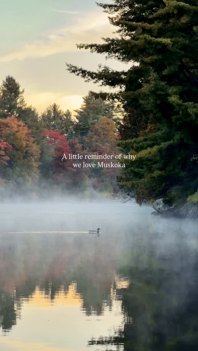 We’ll never get tired of this 🦆
