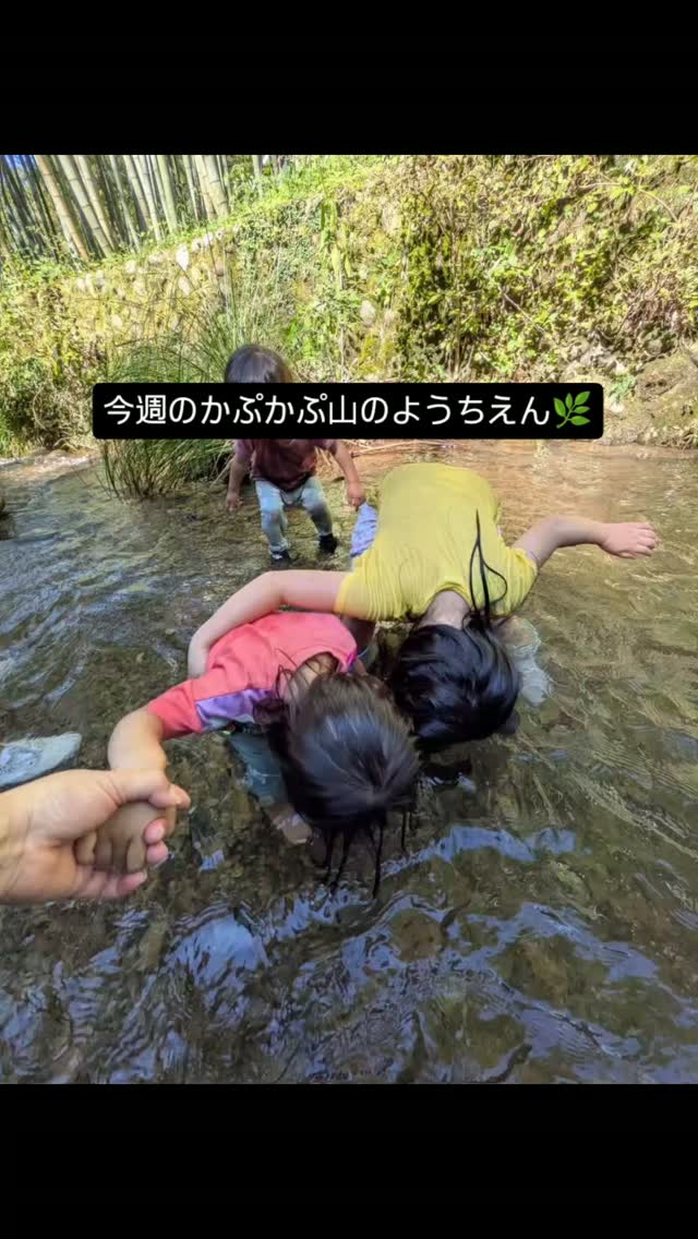 今週のかぷかぷ山のようちえん🌿
まだまだ川遊び!
ヨシくんと稲刈りして、
カエルさんと出会って
鮮やかな柿の葉でお店屋さんごっこ。
晴れ空の下でおさんぽ。
気持ちの良い秋のかぷかぷです🎶
10/23金曜10:00〜
入園説明会があります!
保育の隣で説明するので、見学にもぜひ。
今のところ、3家族ほど来られる予定です。
公式ラインか、ホームページから
お申込お待ちしてます😊
#かぷかぷ山のようちえん #0歳からの親子自然体験 #森のようちえん #青梅 #東京