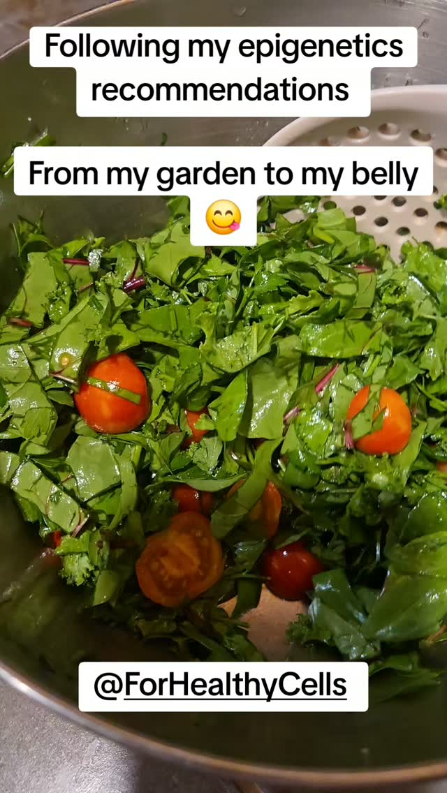 🥗🌱 Grown by me. Picked by me. Tailored to me. 💚
There’s something so rewarding about tossing together an organic salad made with fresh ingredients grown right in my own garden. 🌿✨
Having my Cell Wellbeing Epigenetics Assessment has also helped me better understand my body’s individual nutritional needs, so I can make more personalized choices about the foods and nutrients I incorporate into my lifestyle.
Because healthy eating doesn’t have to be complicated—it can be fresh, delicious, and personalized to YOU. 🥒🍅🥬
Interested in learning more about our Cell Wellbeing Epigenetics Assessment or our current promotions? Reach out to the SuccessfullyHuman team!
🌐 successfullyhuman.com
📞 747-320-9934
📧 info.successfullyhuman@gmail.com
#SuccessfullyHuman #Epigenetics #PersonalizedNutrition #OrganicGarden #WellnessJourney