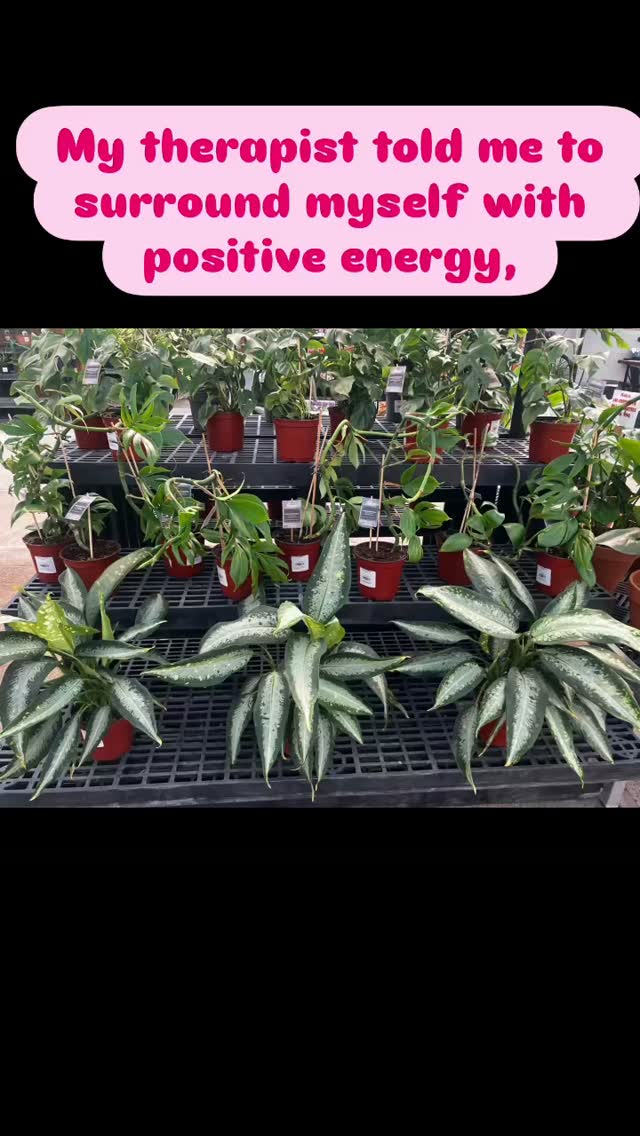 Come shop our amazing houseplant collection #growbeauty #plantshopping #houseplants #houseplant_community #ohiogreenhouse