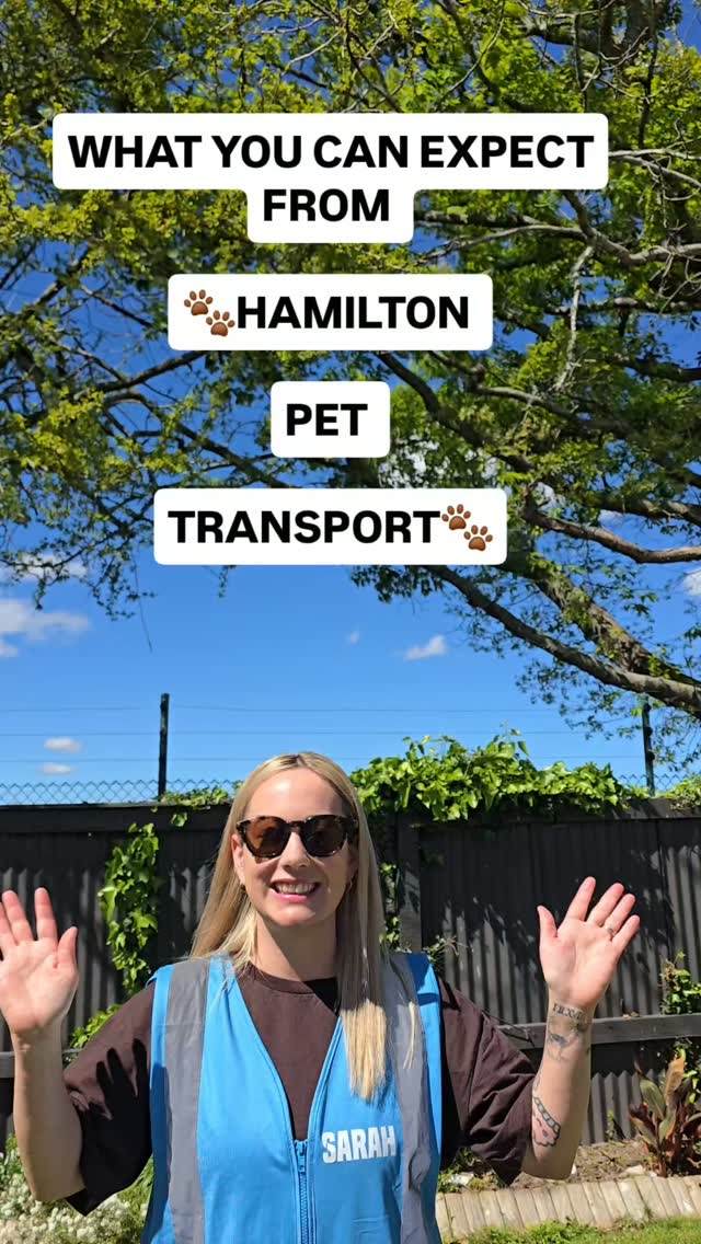 Hard work looks a lot better when you’re doing it with your favorite people✨️✈️🐾
#meettheteam #Hamiltonpettransport #personalpetshippers #nzpets