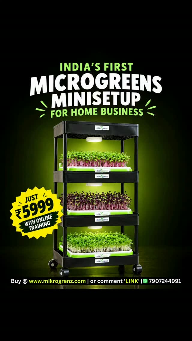 A ₹5,999 Mini Setup to Start Growing microgreens at your home or workspace as a business or for families own consumption.
Microgreens at Home!
Kerala-based startup Mikrogrenz is making microgreens growing easier with a compact setup designed for beginners and health-conscious families.
Buy MINISETUP & BLUEPRINT @ www.mikrogrenz.com
Call - 9972884016
Whatsapp - 7907244991
The mini setup includes premium seeds, growing materials, online training, step-by-step guidance and a guidance book, helping beginners grow fresh microgreens right at home.
With a ₹5,999 mini setup, Mikrogrenz is also making it easier for people to explore microgreens as a home-growing or business opportunity.
Microgreens, Microgreens Business, Microgreens Farming, Home Farming, Mini Setup, Agri Business, Kerala Startup, Home-Based Business, Farming Business
#Mikrogrenz #Microgreens #MicrogreensBusiness #MicrogreensFarming
#Entrepreneur