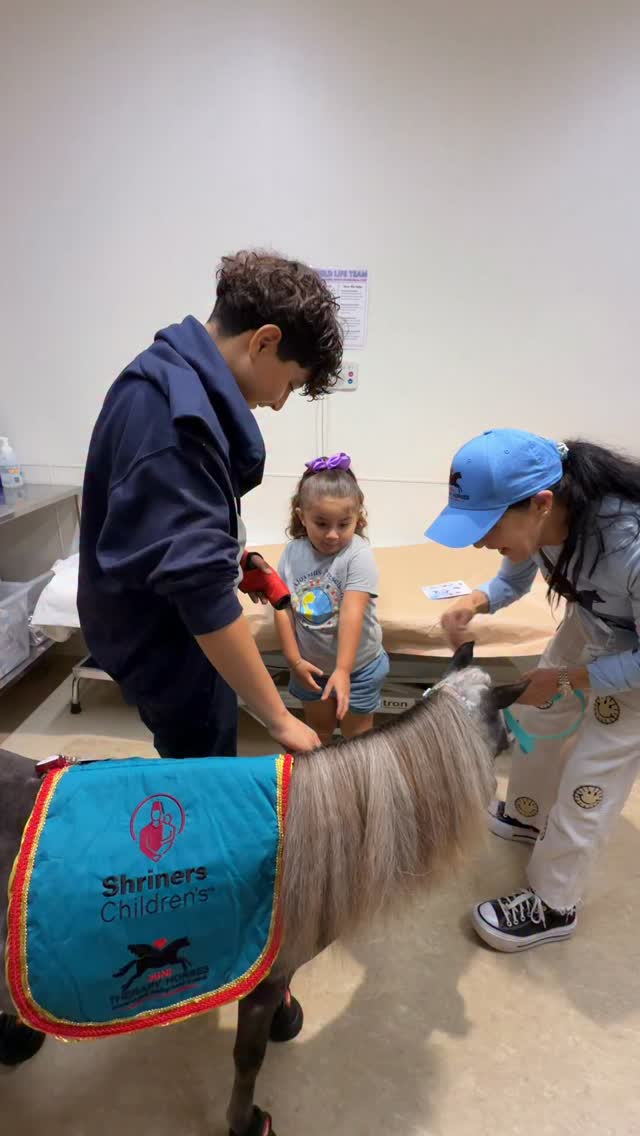 Mini Therapy Horses sharing hope one heart at a timeβ€οΈππ»π¦ The kids say the funniest and most endearing things to the horses. @shrinerssocal @shrinersnorca @shrinershospitals @ucla_pac @torrancememorial @cedarssinai @uclamch @uclahealth #kids #children #pediatrics #compassion #mentalhealth #horse #minitherapyhorses #wellness #love #hope #healing #minihorse Please FOLLOW us if you LOVE Mini Therapy Horses.