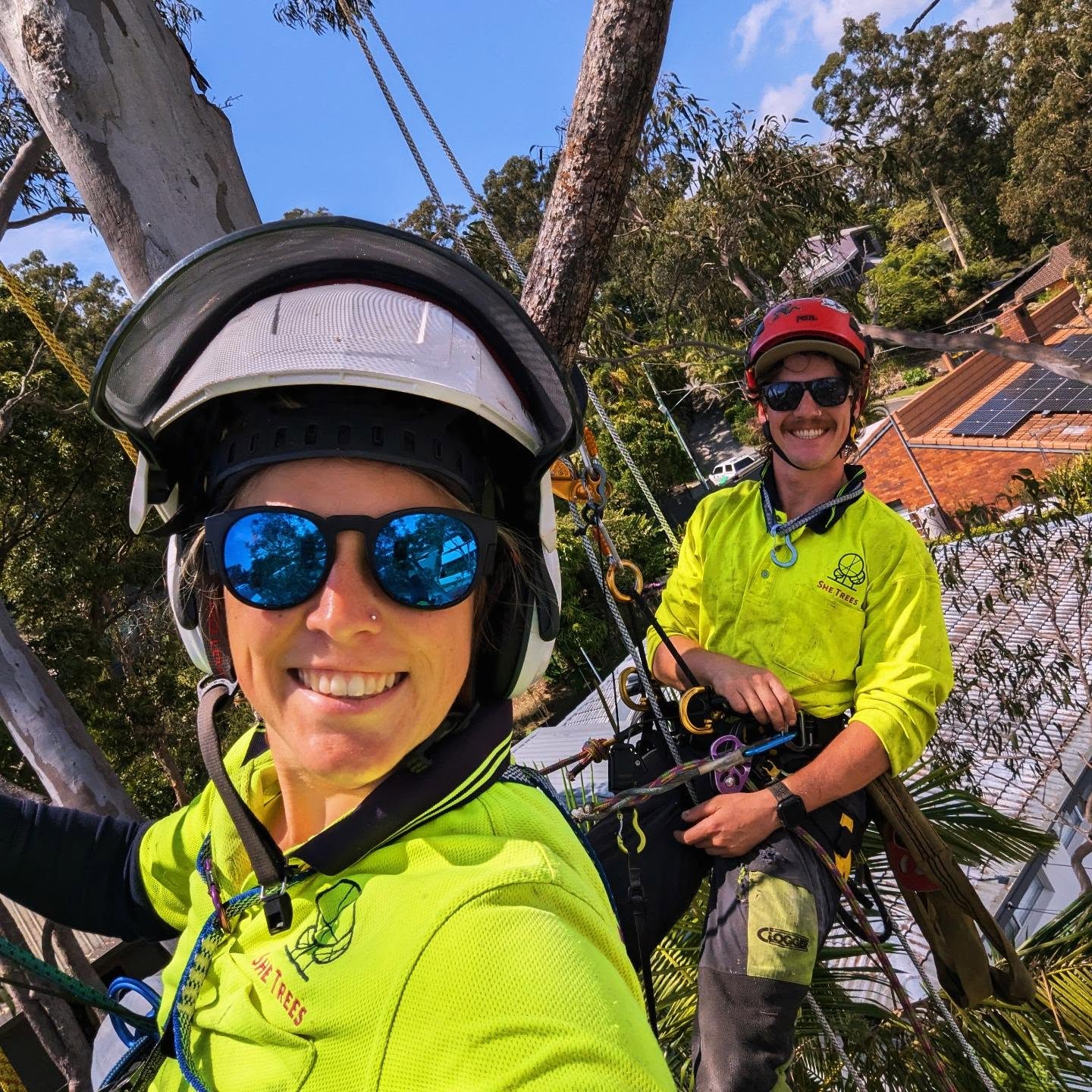 Not often there's two of us up a tree at the same time! Hello from the canopy! @brock_harding_ and I doing some deadwood pruning and a reduction prune in Burleigh on a blue sky day in Burleigh ππ³π§πΌπ