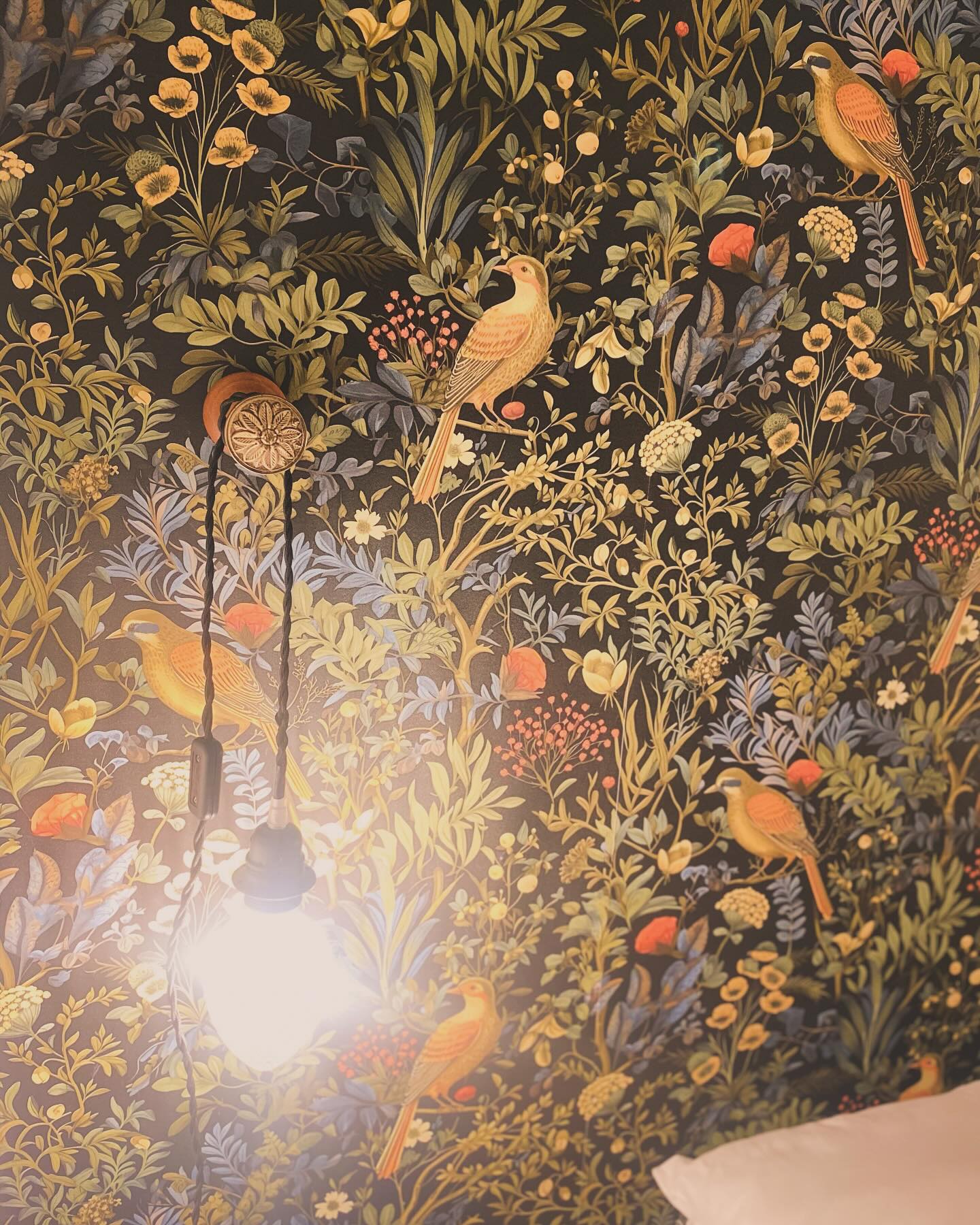 Il y a du nouveau dans le bazar de Ginette !
Plongez dans son univers le temps d’une nuit…
#interiordesign #bedroomdecor #papierpeint #wallpaper #lights #bedandbreakfast #maisonrenovation #normandie #maisondhotes #instalike
@leroymerlin