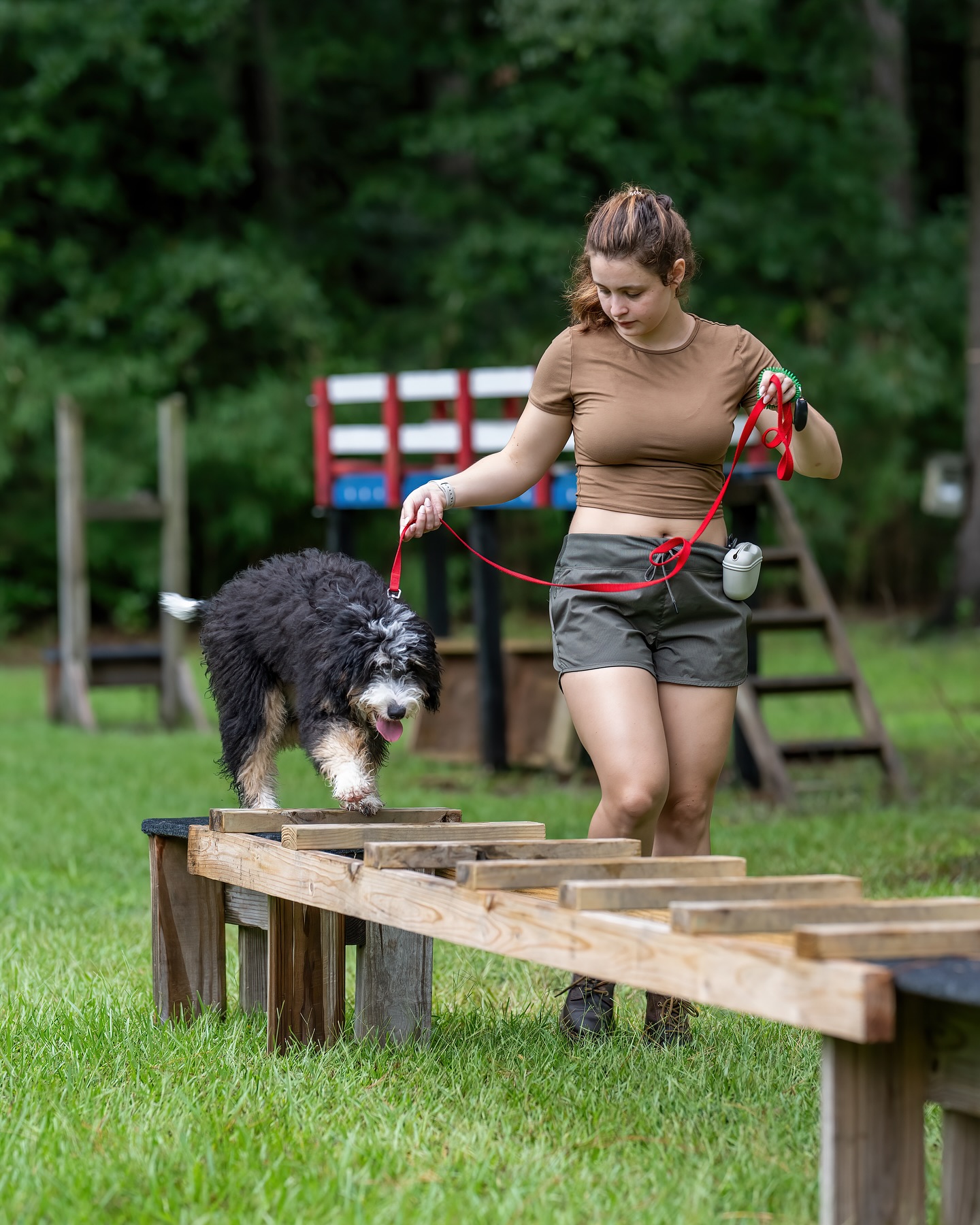 We got the Doodle bop squad out over here at the compound 🐶
What do you mean you only thought we worked with malinois and dutchies??
We love all the pups! Let us get to know yours! 🤍
Photo By: @osaki022
#doodlepups #bernedoodle #dogtraining #groupdogtraining #doodles #supportthetroops #k9 #veternanowned # veteran #serviceanimal #suicideawareness #nonprofit #charity #servicedog #usa #patriot #757 #Chesapeake #virginiabusiness #virginiaevents #suicideprevention #therapydog #mentalhealth #mentalhealthawareness