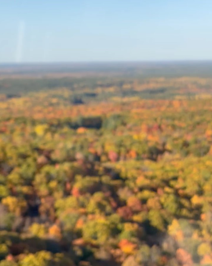 Colour as far as the eye can see. Xo