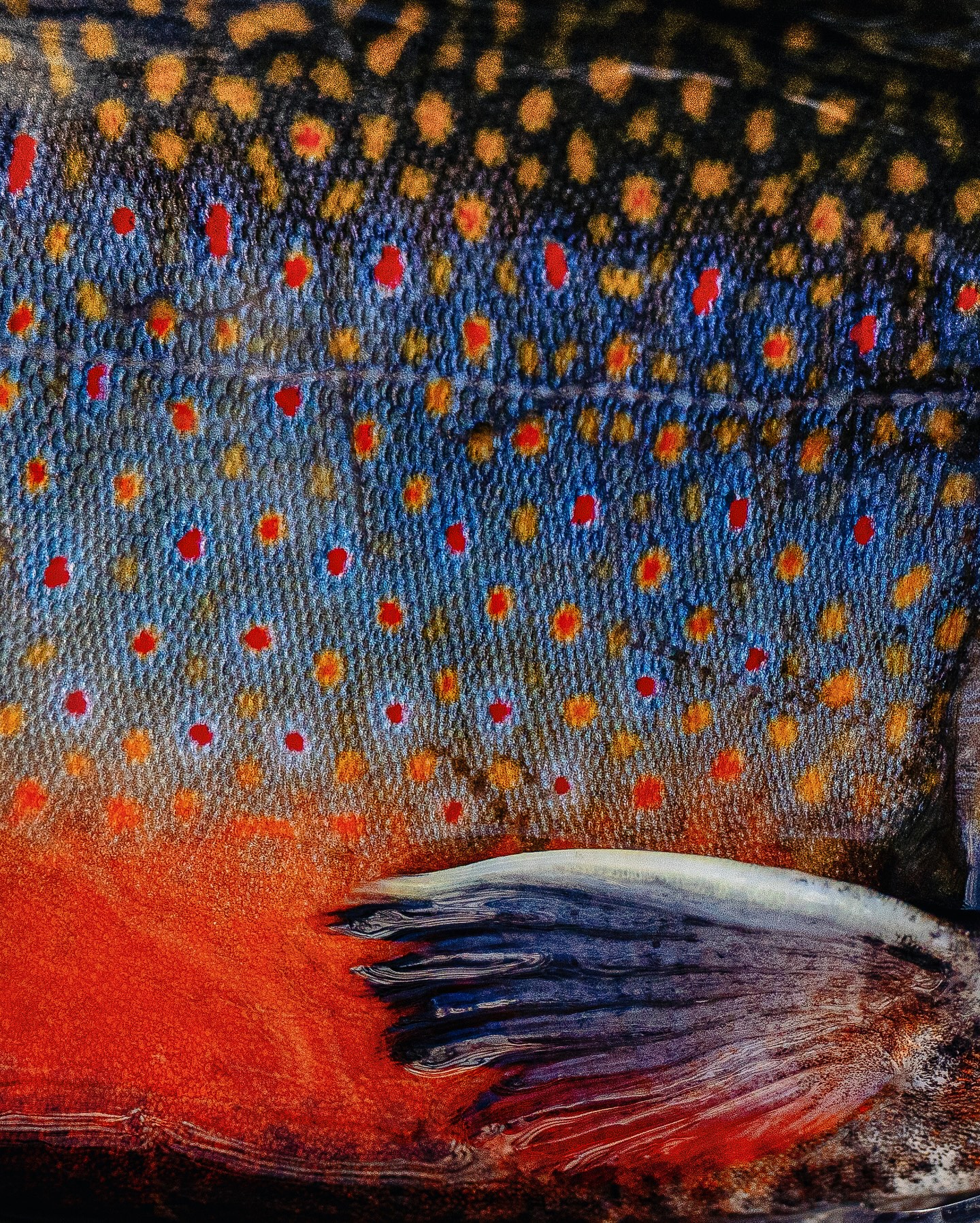 Maine In The Fall…