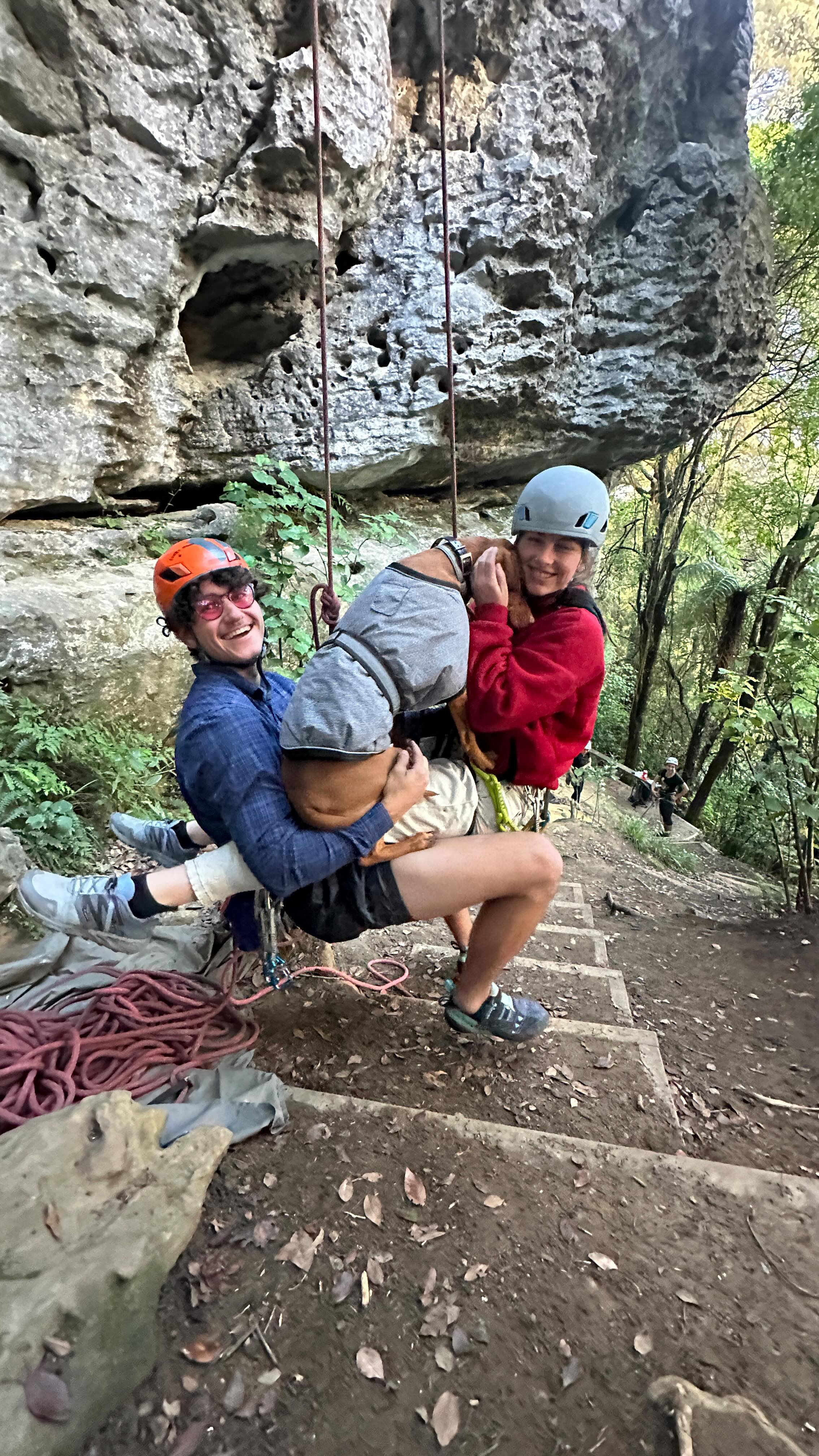Our leads come from the crag and end up with you and your canine.
#dogsnz #doglife #nzsmallbusiness