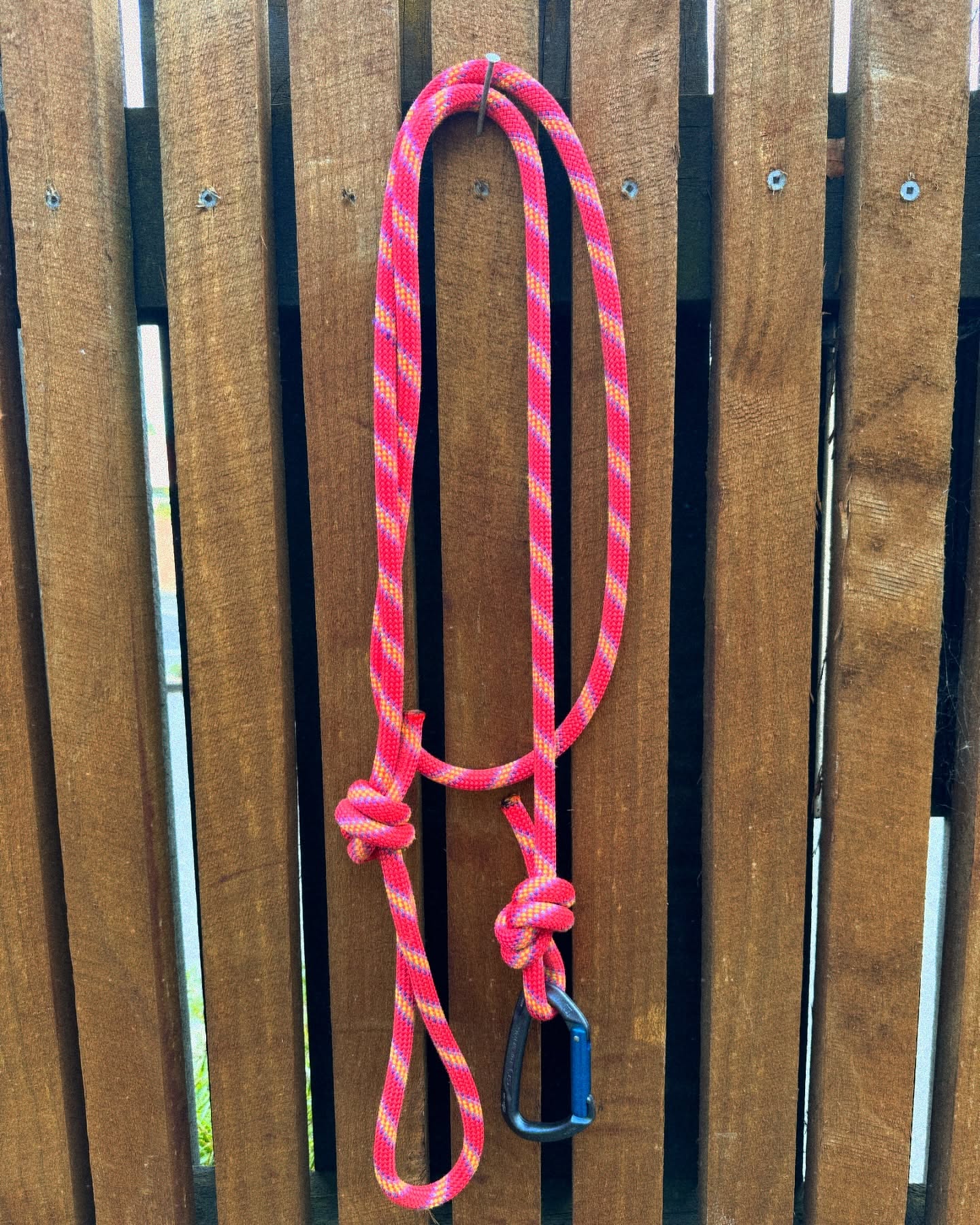 We have a new pink lead up on the website. This one is absolutely wicked. The story behind this lead is a Canadian migrating back home and leaving his rope to a better cause. Check it out ! With Christmas coming up this is a great present for the fam 🎄
#smallbusiness #dogsnz #doglife