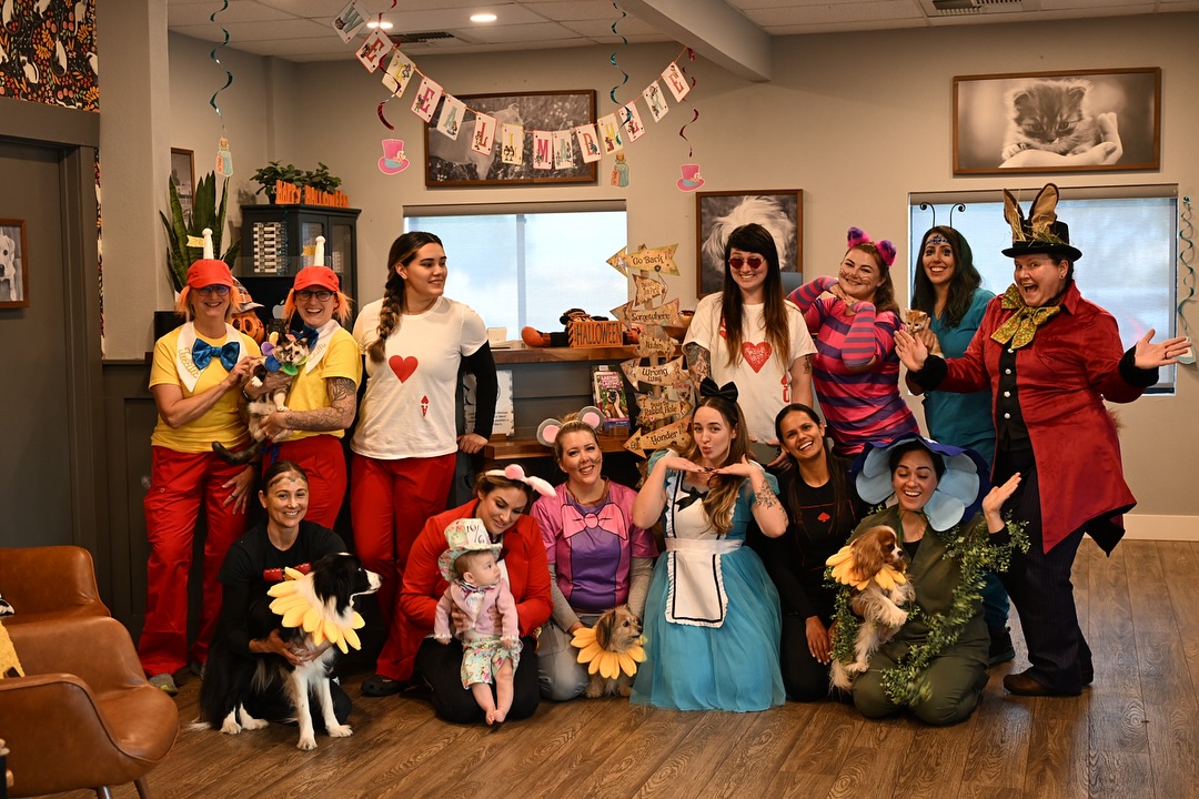 The Hospital Cats and their staff hope everyone had a great Halloween!