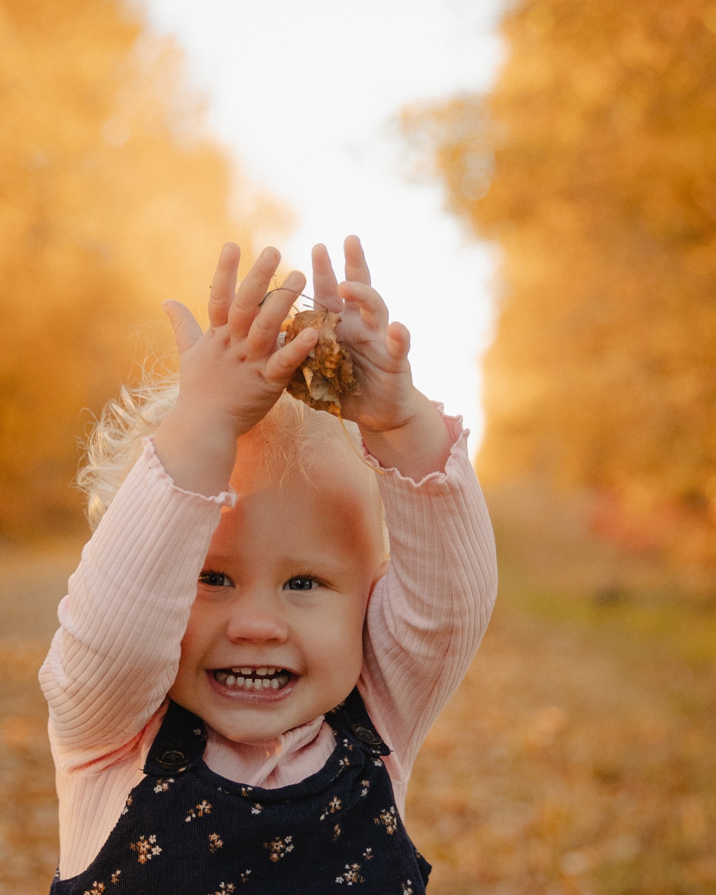 The Venter family fall 2024 🍁 🍂 🧡
#mbphotoandvideo