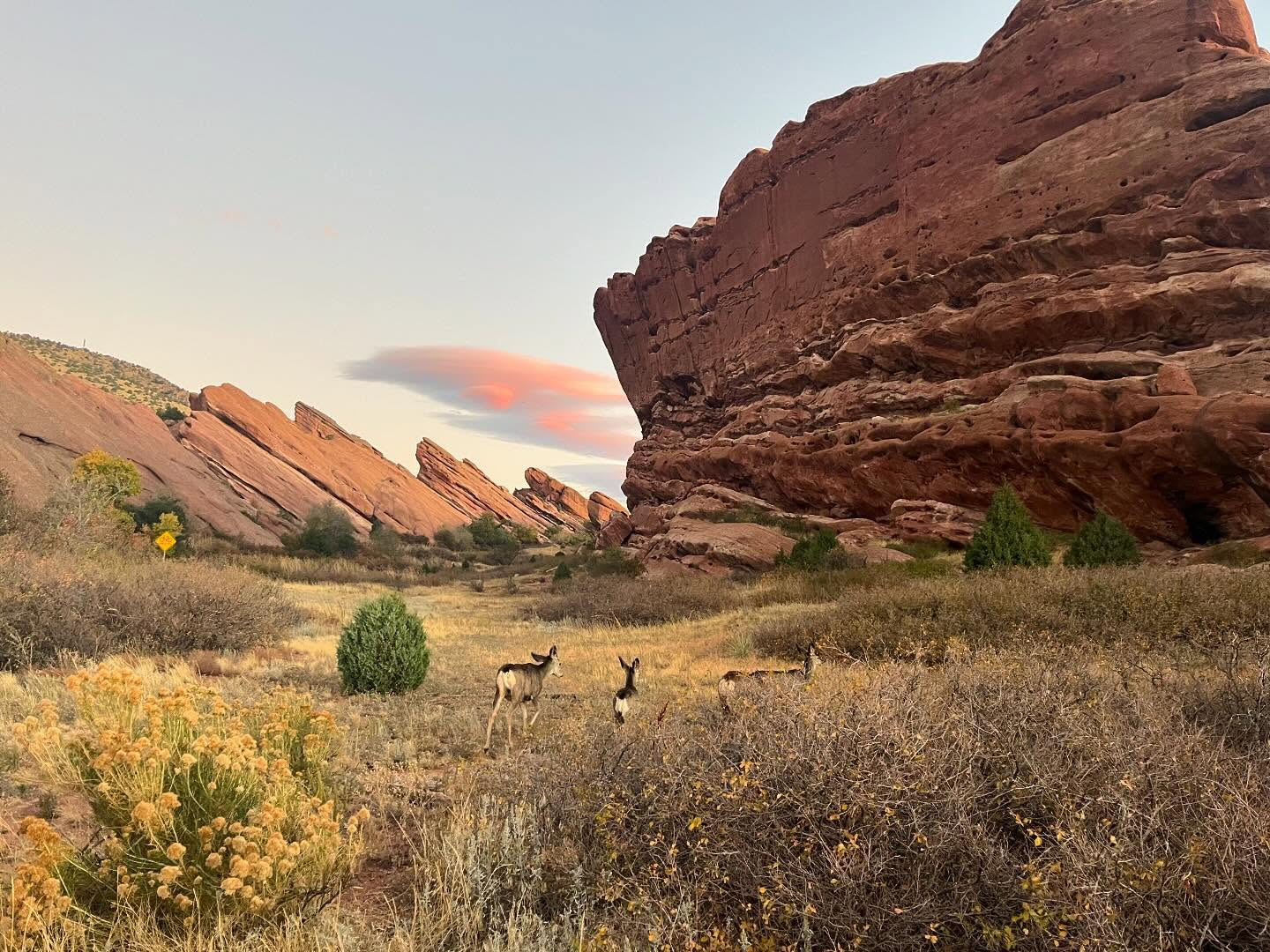 Hear it from our hikers✨ creating beautiful memories ☀️
#hike #hikecolorado #denvermountainparks #redrocksamphitheater #hikesatredrocksamphitheater #denvercolorado #visitcolorado #choosemountains #hike #hiking #trail #adventureisoutthere #outdoors#discoverearth #outdoor #nature #mothernature #trekking #adventureculture #naturelovers #earth #landscape #welivetoexplore #sunrise #naturephotography #sky #naturelover #natgeo #mountains
