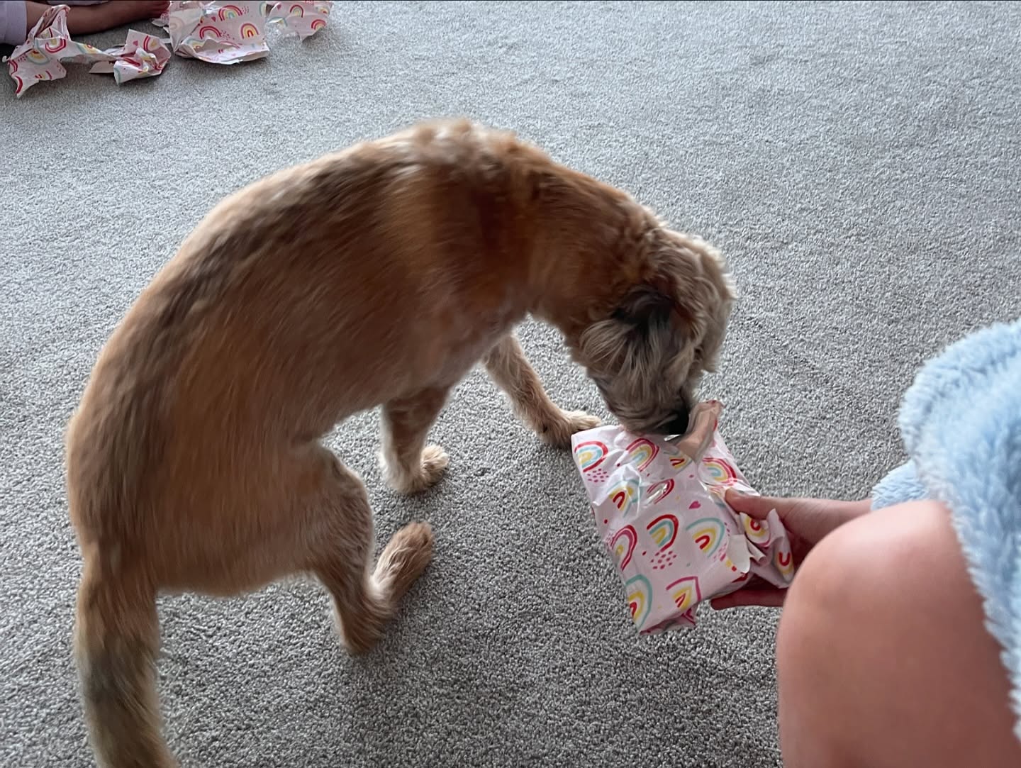 A standard 7 days of chaos and randomness….
1. B dog turns 10 🥳 🐾
2. Clients shoe line up
3. Long lunch with friends
4. Discovered my new favourite wine
5. Our Uber drivers shoes matched his car 🚙👌🏼
6. Fireworks with the neighbours
7. Gym competition
8. Wharf walks with B dog 🐕
Life’s good 🤍