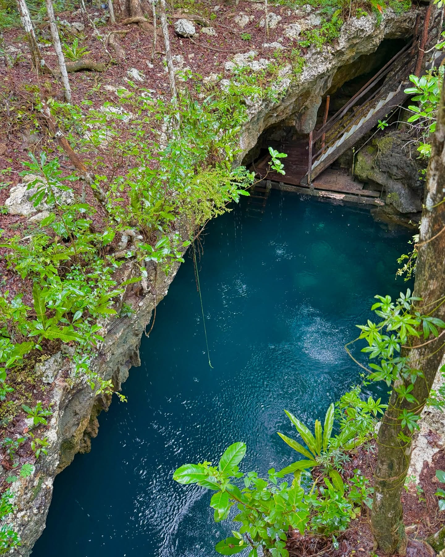 I still can’t believe this place is real! The Cenotes of Mexico are sinkholes that create open caverns and caves in the middle of otherwise dry land. They are so deep and vast that they were once thought to be portals to the underworld.
Cenotes contain mostly fresh water, but occasionally they are so deep they mix with salty ocean water. That was the case here, at a Cenote called “El Pit”. About 40-50 feet down, fresh and salt water mix creating a halocline layer where everything goes from clear to blurry for a few moments during the descent (to me it felt like I forgot to pop in my contacts first thing in the morning).
As we got deeper, we observed another natural phenomenon, a hydrogen sulfide cloud with a large fossilized tree branch poking through (once part of the layer of forest that collapsed into the pit). It felt like being in a spooky, foggy enchanted forest but 90ft underwater.
As we made our way back towards the cavern’s entrance, a few radiant beams of sunlight pierced through the surface of the water. Looking back behind me and then towards the light, it felt like I was ascending through the pit of the Ancient Cistern in Skyward Sword (if it were completely flooded). *I was not chased by a hoard of cursed bokoblins* but I certainly had my head on a swivel.
This experience was extra special to me, not only because we were able to partake in a very haunted, spooky dive for Halloween/Day of the Dead, but also because Juniper will embark on some deep water excursions during her adventures as well. Now you all know firsthand where that inspiration comes from 🤿✨
Note: the third picture is not my own and comes from Cenotes.net—it only serves as a visual for part of the Pit until we get all of our GoPro footage transferred to my devices to share!
#juniperscastle #travel #scuba #cenote #mexico #writer #fantasywriter #fantasyauthor #fantasynovel #bookstagram