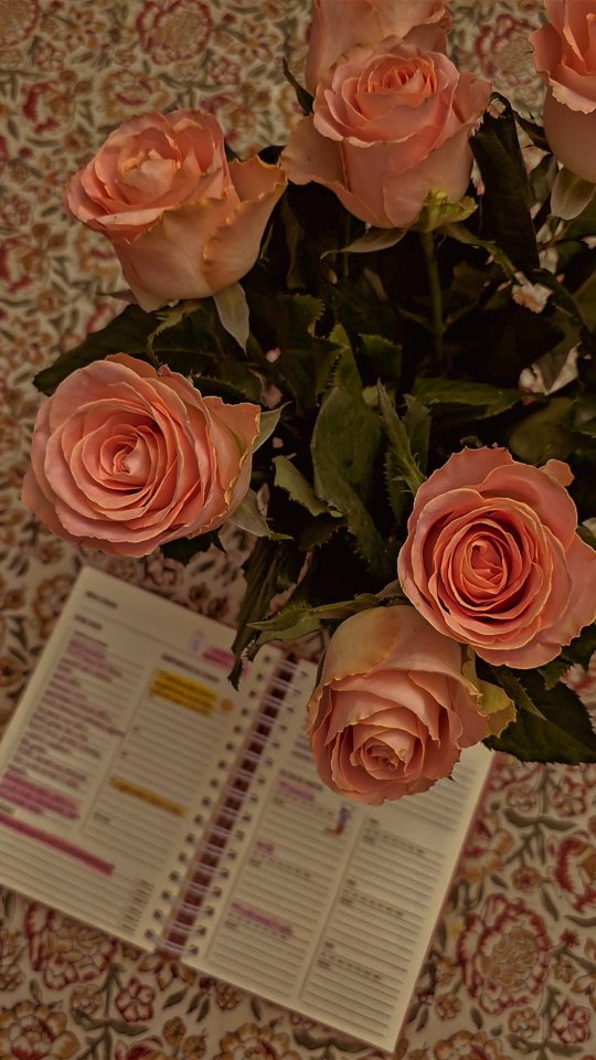 Organizador de Rotina e Ritmo🍂
Uma ferramenta completa para nos auxiliar em um planejamento cheio de leveza e propósito.
O Organizador traz diversos recursos úteis para o nosso dia a dia:
Ritmo diário;
Planejamento de refeições;
Lista de compras para a semana;
Âncoras diárias
Cultivo de hábitos;
Prioridades;
Compromissos;
Organização do tempo de autocuidado;
Rotina de cuidados com o lar;
Anotação das pequenas bênçãos que são derramadas sobre nós todos os dias;
Controle semanal e mensal;
Plano de leitura Bíblica anual.
Nestes primeiros dias da nossa Jornada 2025, é este o material que indico para vocês!🌿
Ainda não está participando da Jornada Gratuita de Organização para um 2025 mais cheio de Intencionalidade? Inscreva-se na minha newsletter (link na bio) e planeje esta caminhada comigo!♡